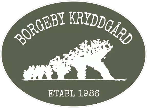 Borgeby Kryddgård AB