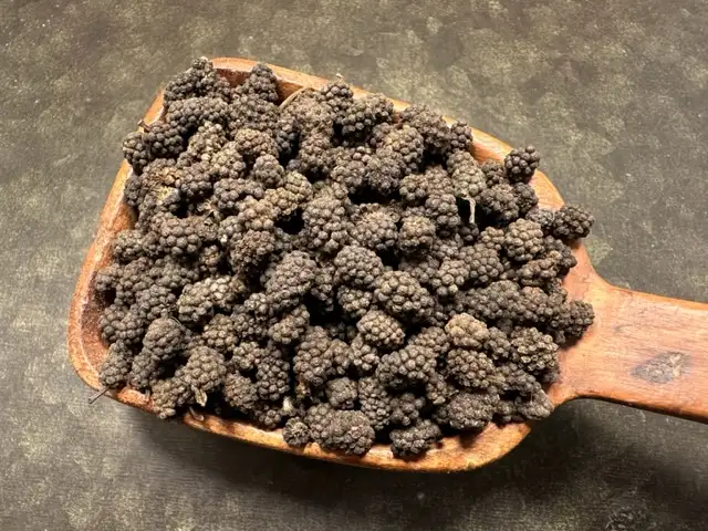 Assampeppar Blackberry från Indien (30 g)