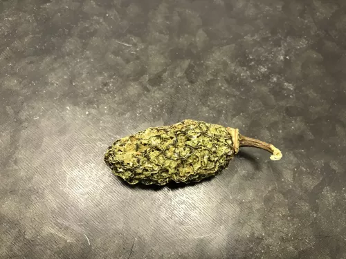 Chili Jalapeno hel (5 - 7 st = 10 g)