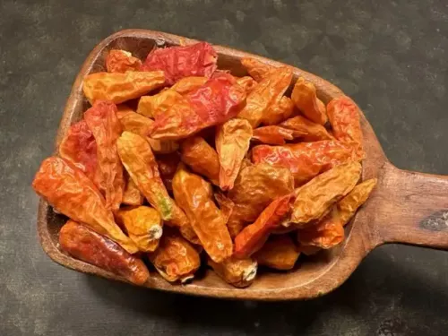 Chili African Shombo ekologisk (15 g)