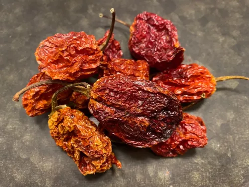 Chili Trinidad Scorpion Moruga butch (5 st, ca 5 gram)