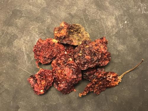 Chili Carolina Reaper (4 g)