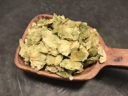 Humle knoppar torkade (25 g)