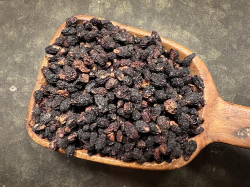 Sacred Pepper of Patagonia ~ Chiloé (20 g)