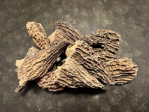 Toppmurklor Svamp (15 g)