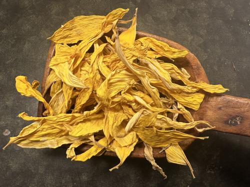 Solrosblomblad (20 g)