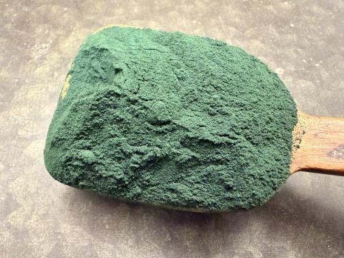 Spirulina Pulver Ekologiskt (1 kg)