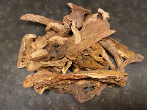 Karl-Johan svamp  (20 g)