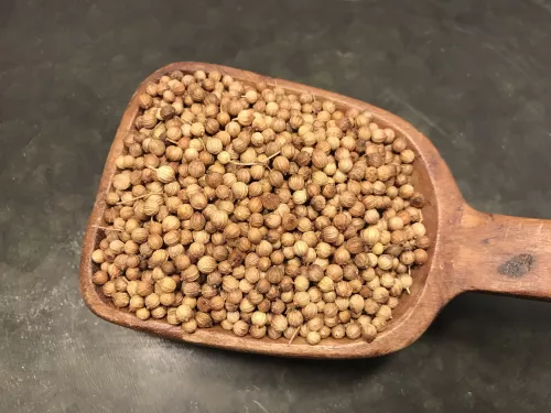 Koriander frö hel 1 kg/förp (1 kg)