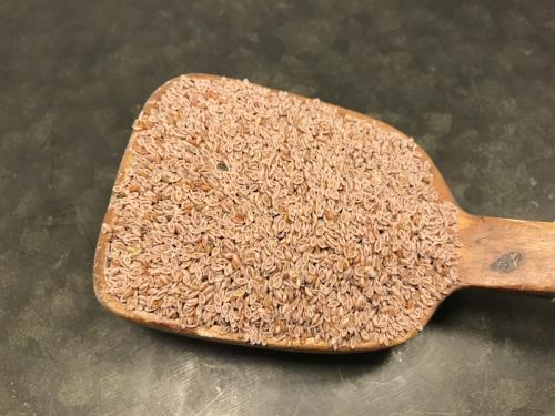 Psyllium Loppfrö ljusa frö hela (300 g)