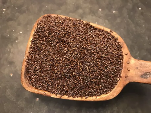 Psylliumfrö Loppfrö Svarta hela ekologiska (200 g)