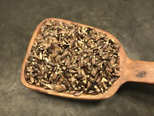 Mariatistel frö Hel Ekologisk 1 kg/förp (1 kg)