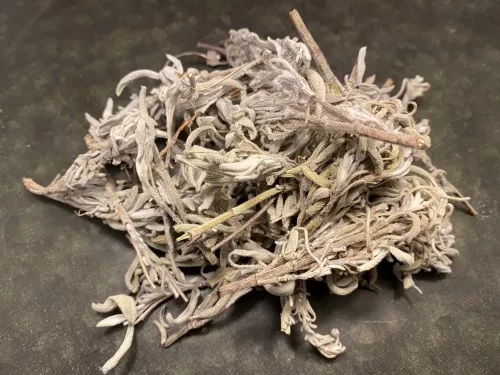 Salvia på kvist (50 g)