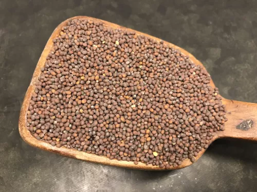 Senapsfrö brunt (320 g)