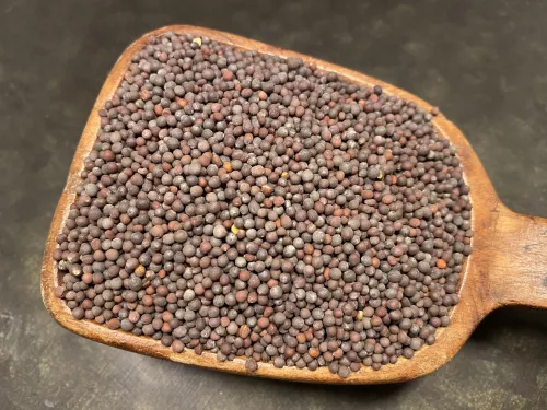 Senapsfrö Svarta Indiska Ekologiska (30 g)