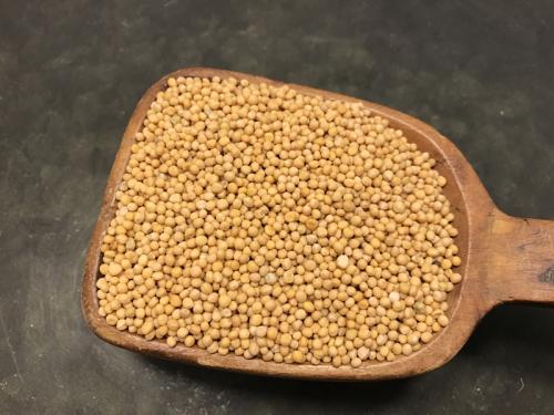 Senapsfrö gult (80 g)