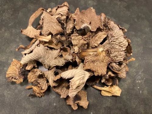 Trattkantarell (20 g)