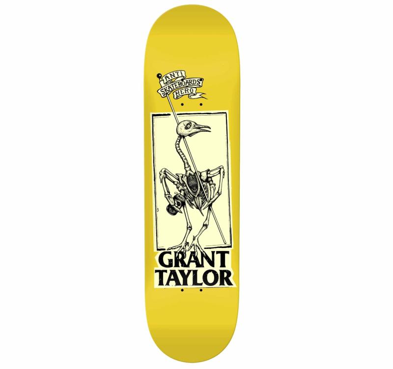 Antihero Taylor Pigeon Vision 8,25