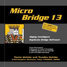 Micro Bridge 13