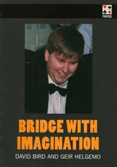 Bridge with Imagination