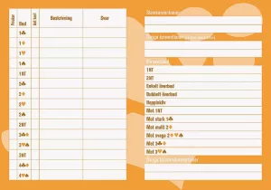 Systemdeklarationer orange