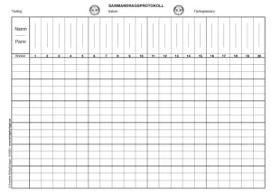 Sammandragsprotokoll