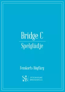BRIDGE C