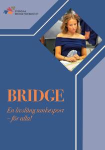 Folder - BRIDGE