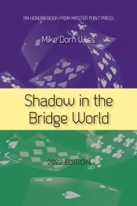 Shadow In the Bridge World