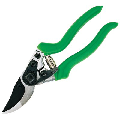 Xylan sekatör, Freund Victoria