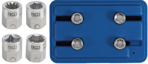 Hylssats bromsok special