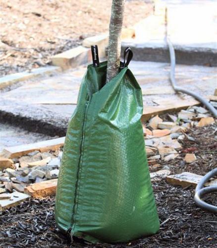 Treegator® Original bevattningssäck