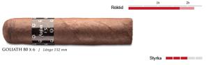 Asylum 13 Goliath 80x6