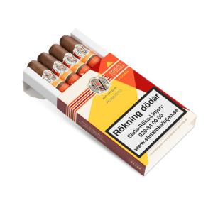 AVO Syncro Fogata Robusto