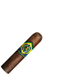 CAO Brazilia Corcovado