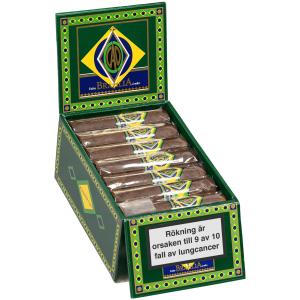 CAO Brazilia Corcovado