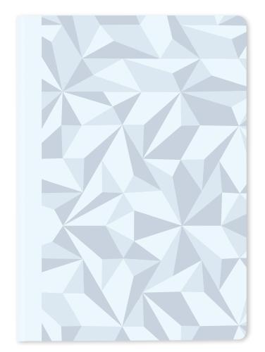 Caran d'Ache Skrivbok Alpine Frost