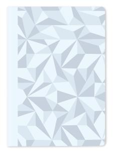 Caran d'Ache Skrivbok Alpine Frost