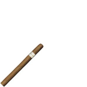 Davidoff Signature Ambassadrice