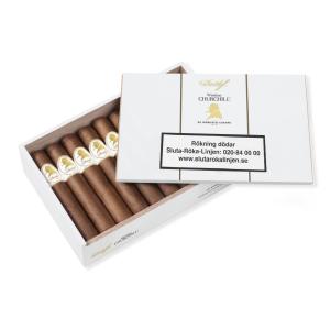 Davidoff Winston Churchill Robusto