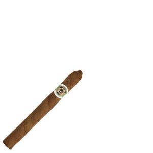 Macanudo Connecticut Ascot