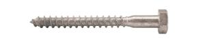 Fransk Träskruv 10,0x100 30st/frp T6S Varmförzinkad DIN571