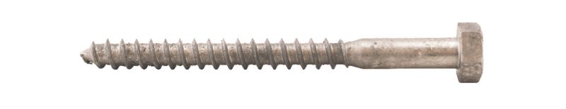 Fransk Träskruv 10,0x120 50st/frp T6S Varmförzinkad DIN571