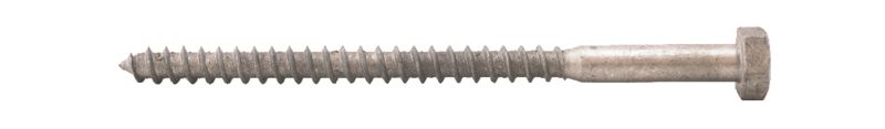 Fransk Träskruv 10,0x160 30st/frp T6S Varmförzinkad DIN571