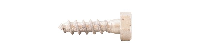 Fransk Träskruv 10,0x40 50st/frp T6S Varmförzinkad DIN571