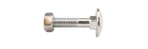Vagnsbult med mutter 10,0x45 50st/frp FZB DIN603