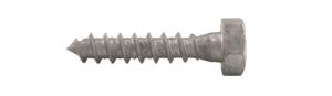 Fransk Träskruv 10,0x50 50st/frp T6S Varmförzinkad DIN571