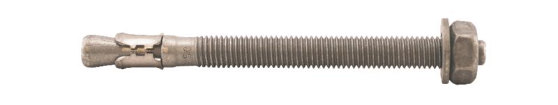 EXPANDERBULT M10X120 40st/frp VFZ