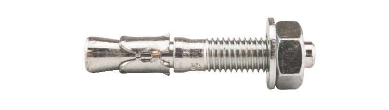 EXPANDERBULT M10X60 50st/frp FZB