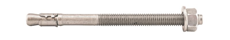 EXPANDERBULT M12x160 25st/frp A4 Syrafast